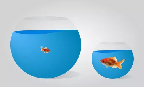 switching-jobs-why-I-left-a-large-company-to-join-a-smaller-one-0