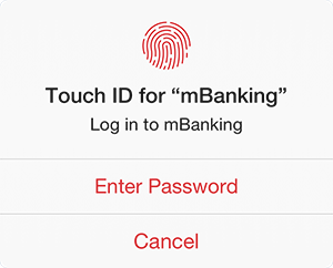 Touch ID