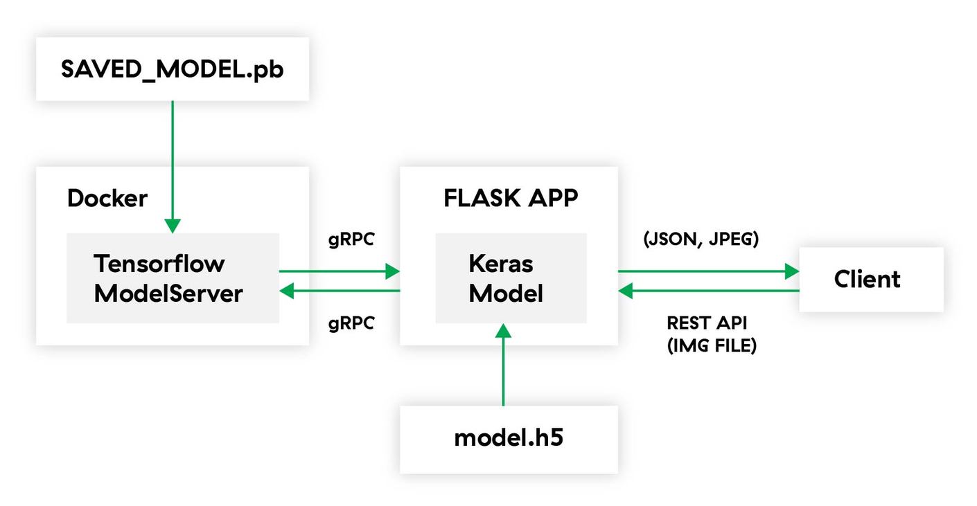 Overview of the system