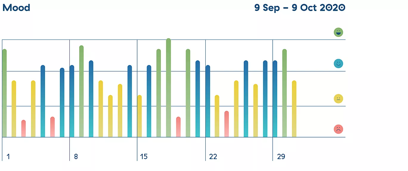 Flutter chart