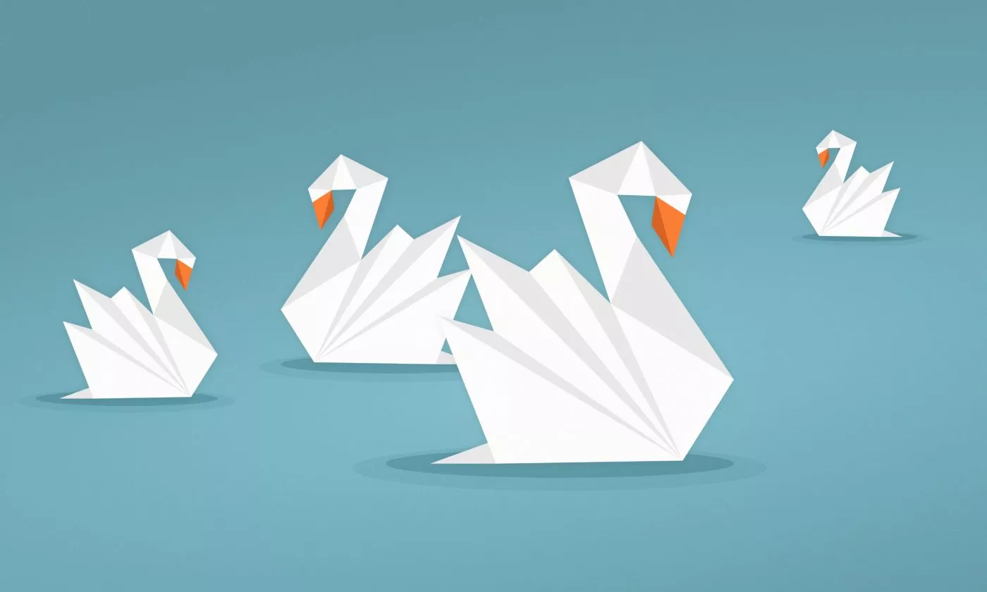 From Ugly Duckling To Beautiful Swan Hero Img