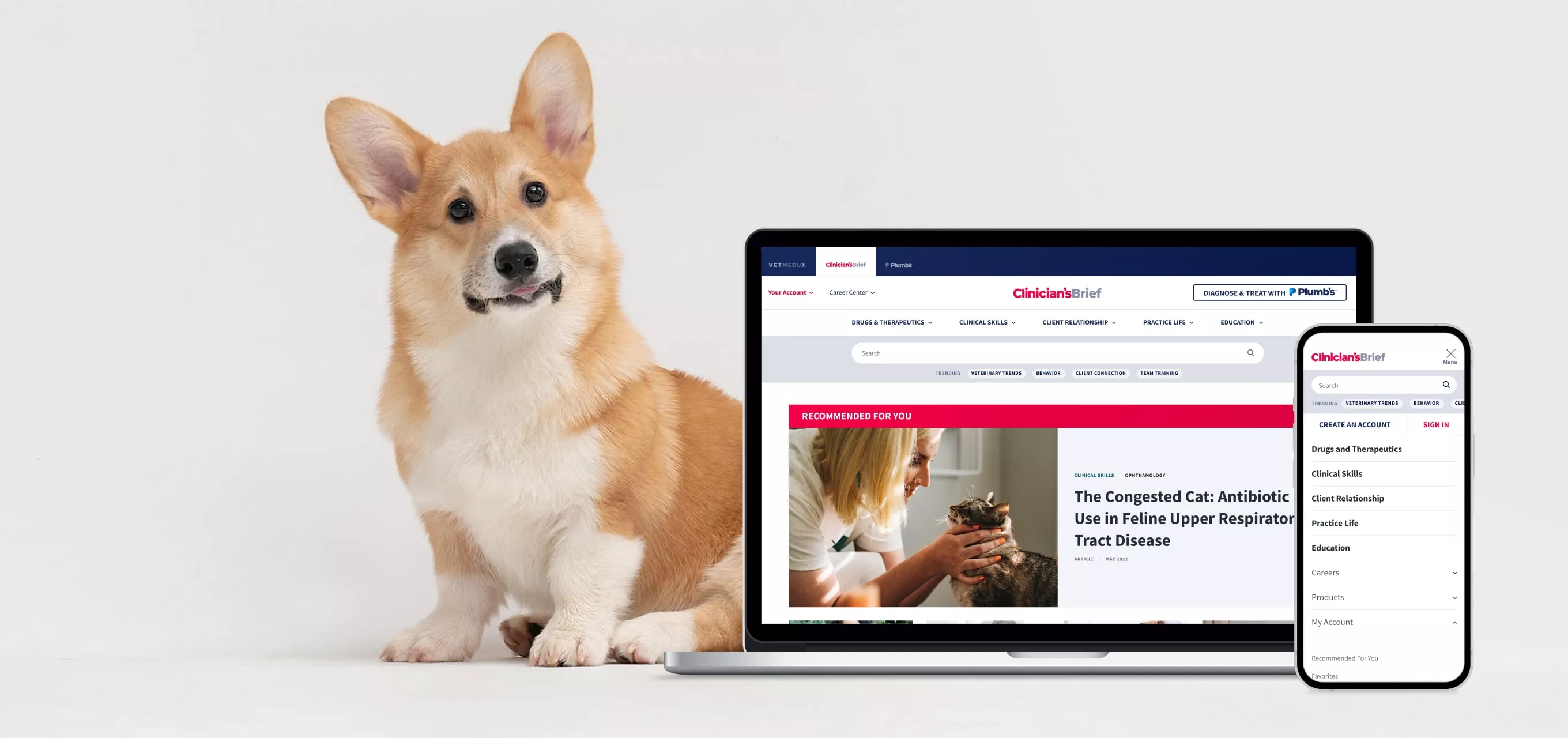 CliniciansBrief Client Case Img Hero Mobile Min